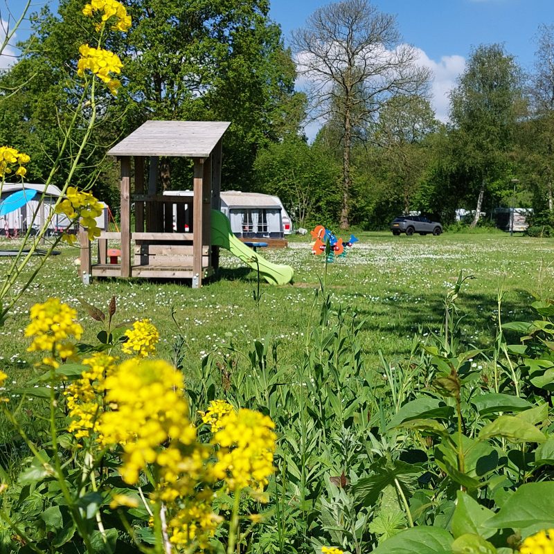 De Distel - Flevoland - Open Camping Dag
