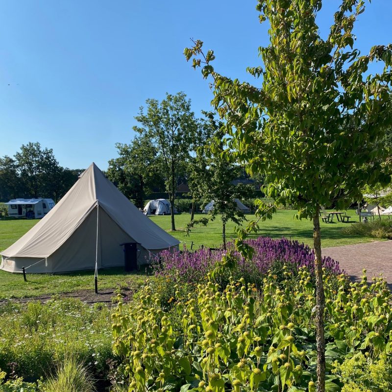 Verblijf bij Hygge - Noord-Brabant - Open Camping Dag