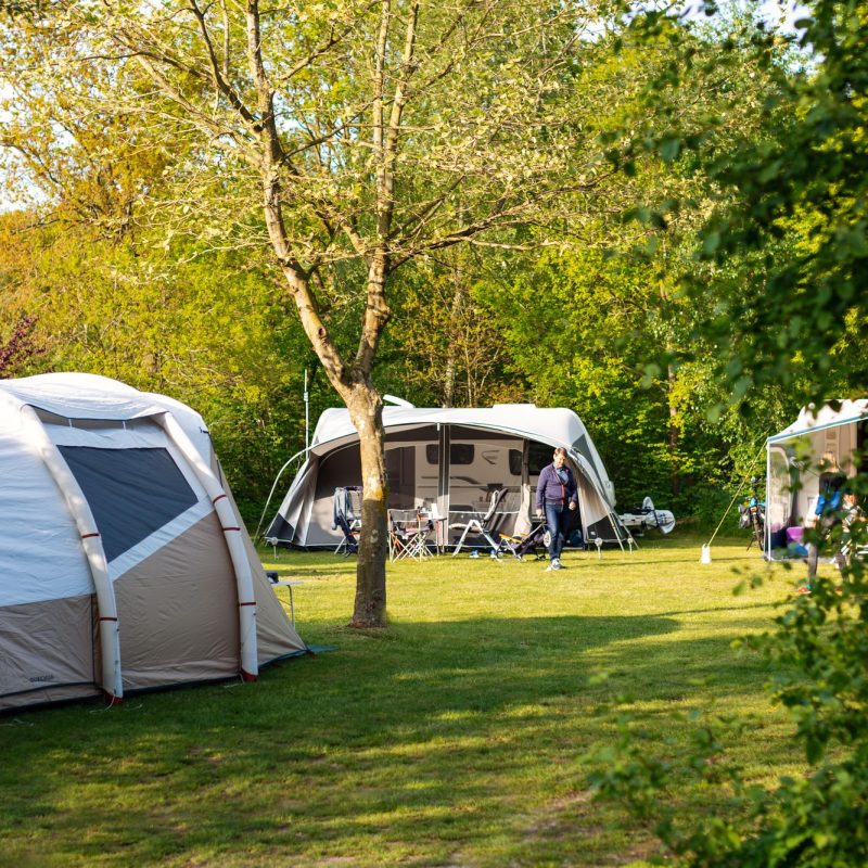 Tikvah - Drenthe - Open Camping Dag