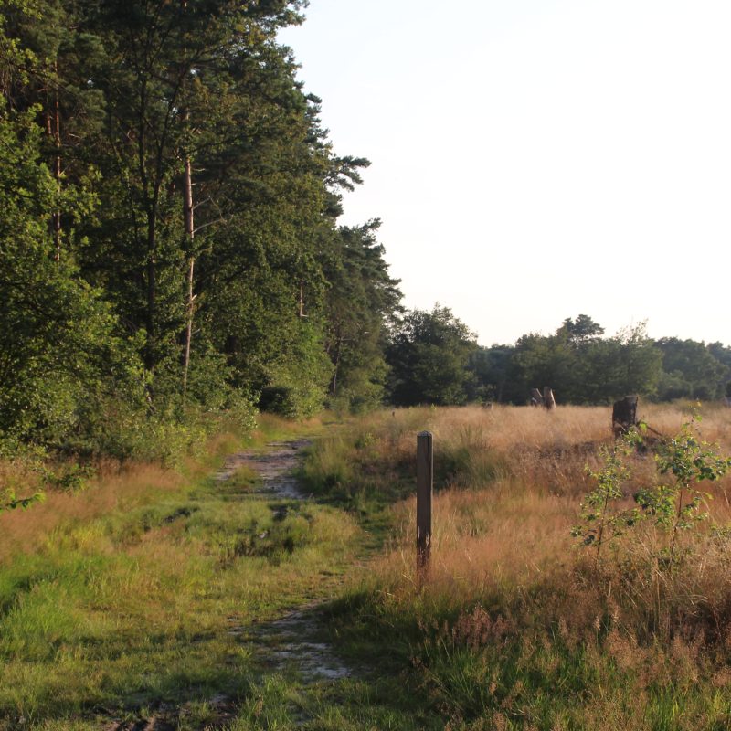 Natuurcamping De Boerenzwaluw - Overijssel - Open Camping Dag