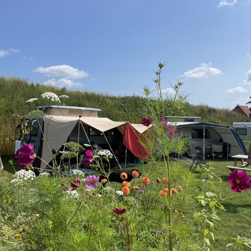 Minicamping De Frije Fries - Friesland - Open Camping Dag