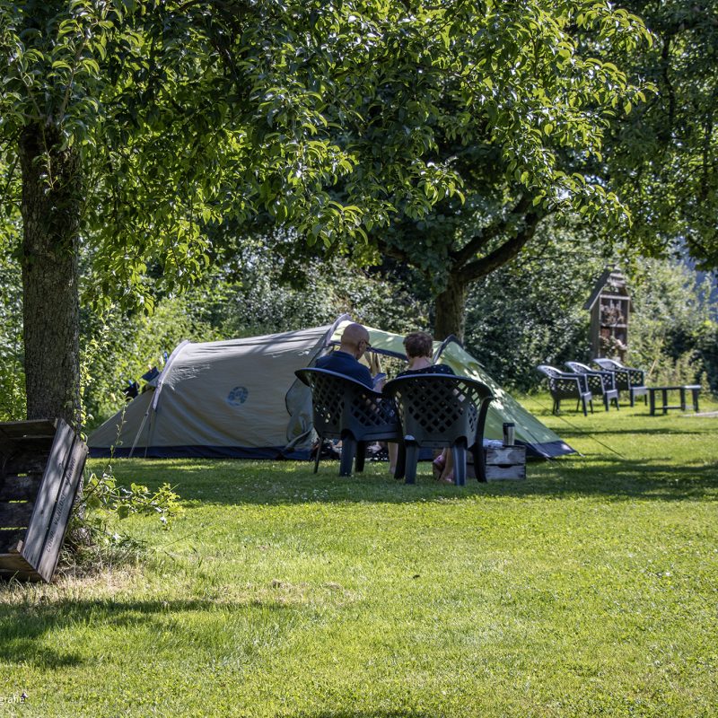 Camping Catsop - Limburg - Open Camping Dag