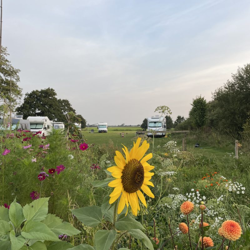 Minicamping De Frije Fries - Friesland - Open Camping Dag