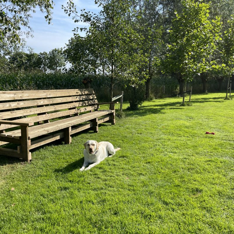 Camping Lierderpark - Overijssel - Open Camping Dag