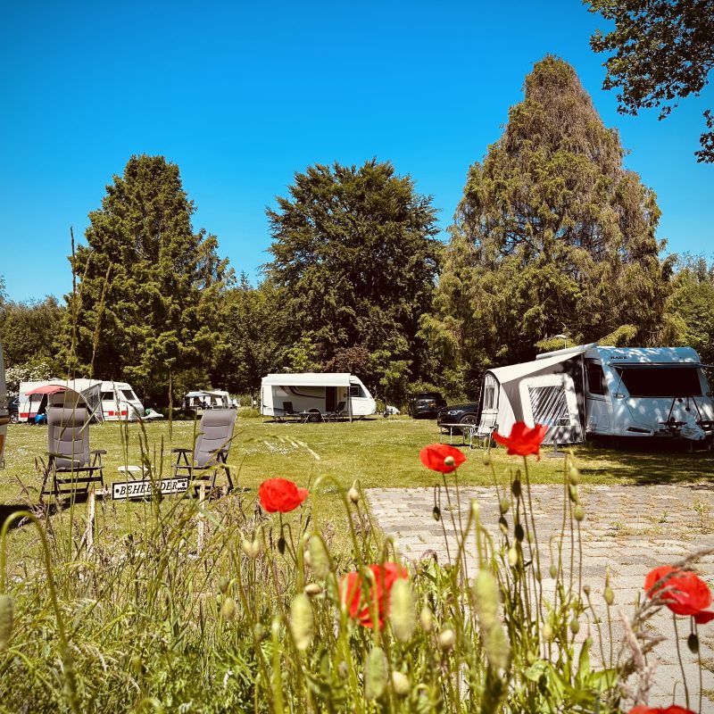 De Distel - Flevoland - Open Camping Dag