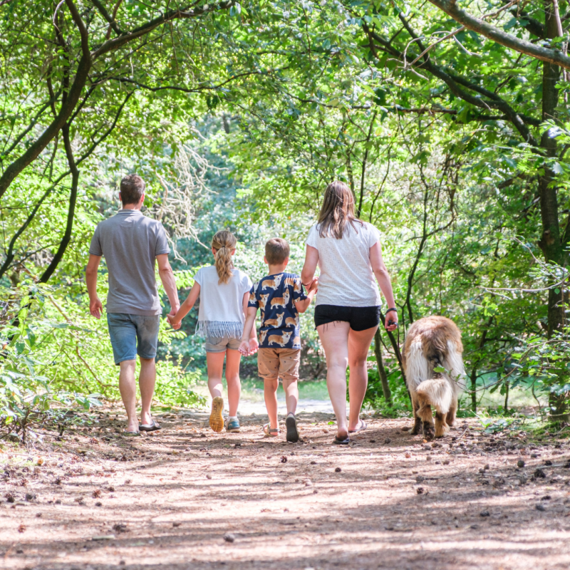 Kampeerdorp de Zandstuve - Overijssel - Open Camping Dag