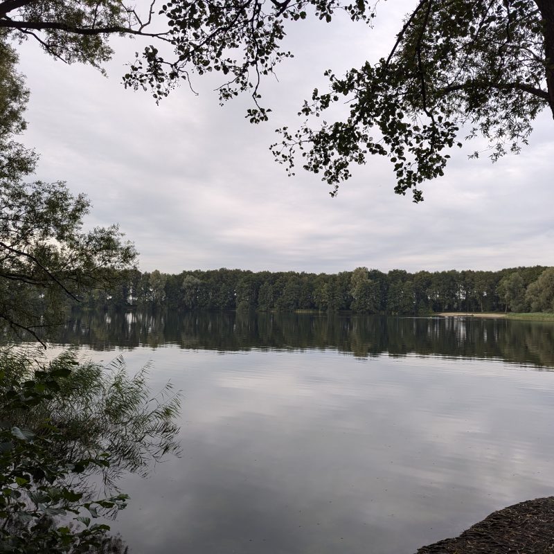 Landschapscamping Het Hazenpad - Drenthe - Open Camping Dag