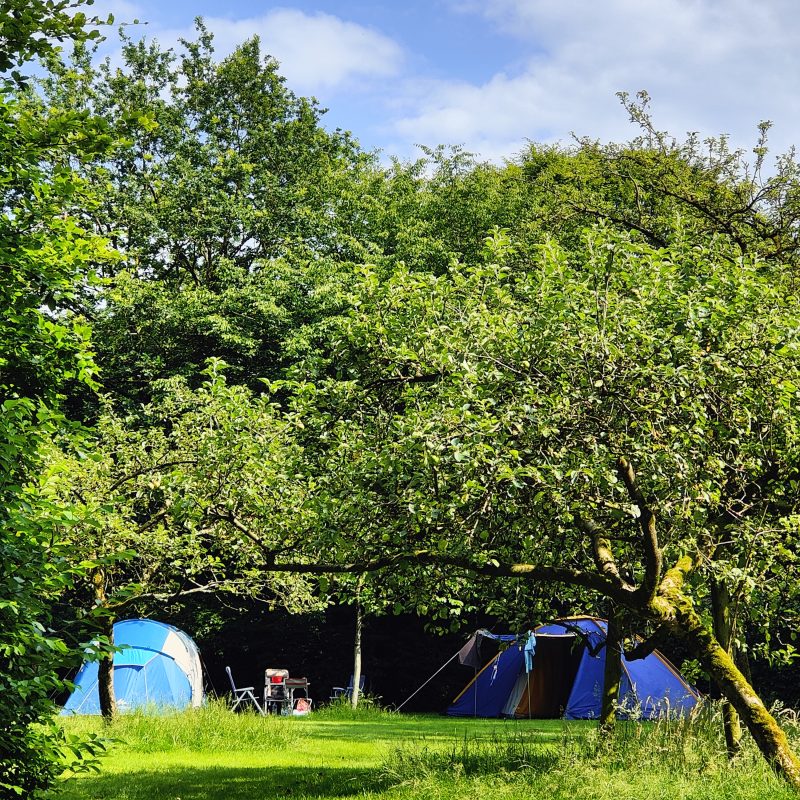 Camping Jena