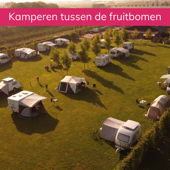 Camping De Fruitboom - Open Camping Dag