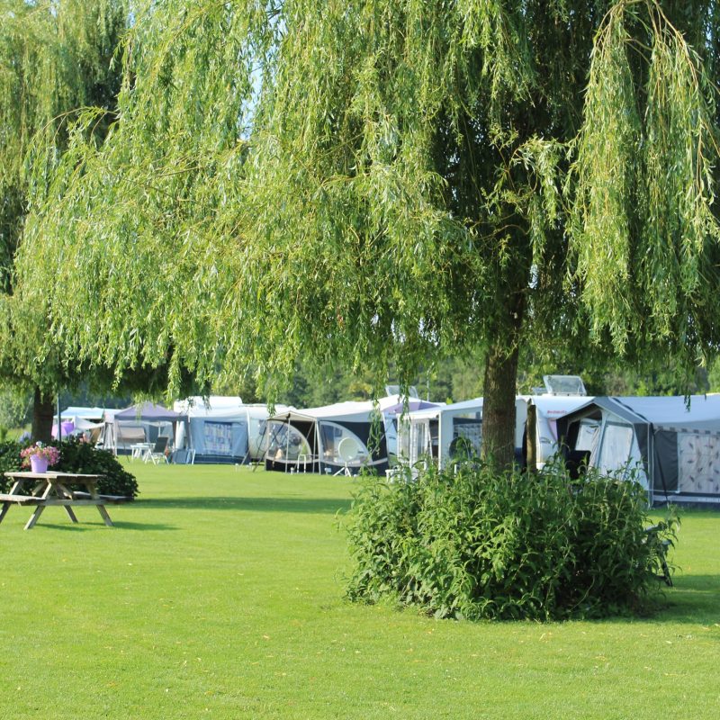 Camping De Gijzel - Noord-Brabant - Open Camping Dag