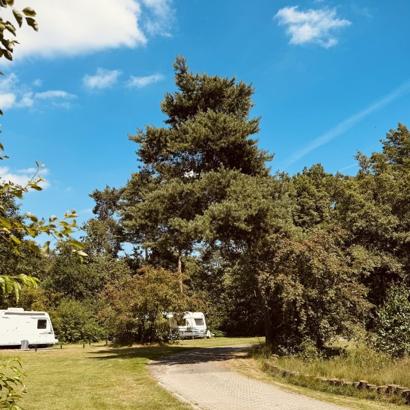 NCC De Spekberg - Limburg - Open Camping Dag