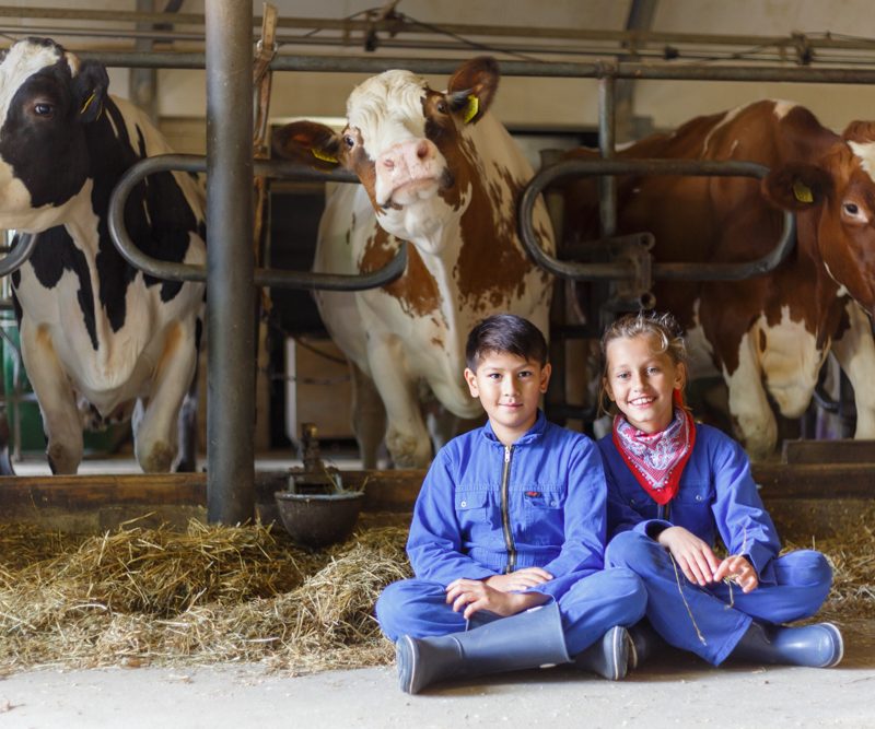 Landrijk de Reesprong - Overijssel - Open Camping Dag
