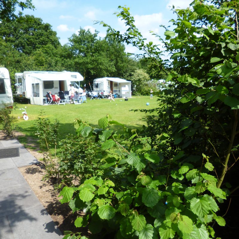 Camping Boszicht