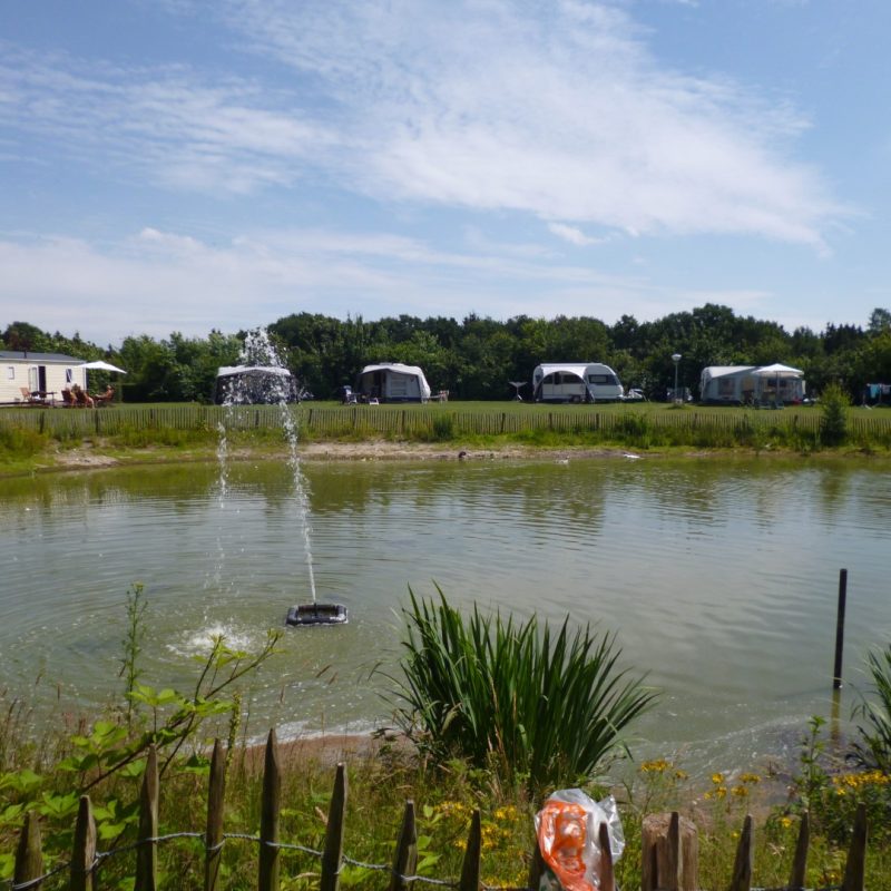 Camping Boszicht - Noord-Brabant - Open Camping Dag