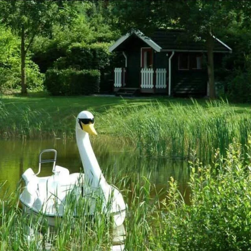 Camping 't Nije hof - Groningen - Open Camping Dag