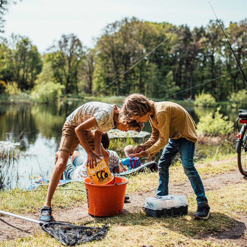 Eurocamping Vessem - Noord-Brabant - Open Camping Dag