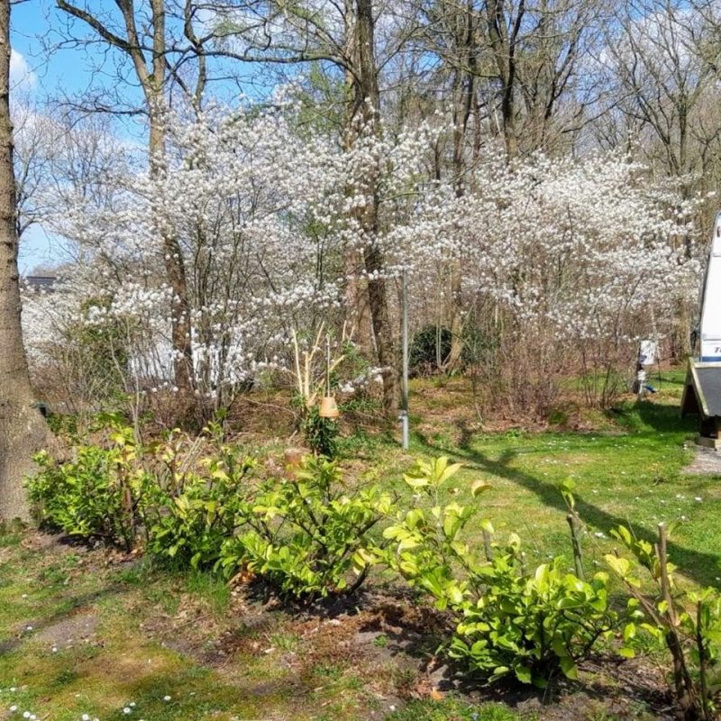NCC De Krententerp - Drenthe - Open Camping Dag